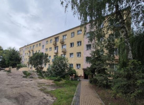 Image category