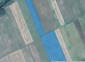 Image category
