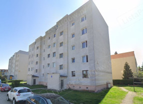 Image category