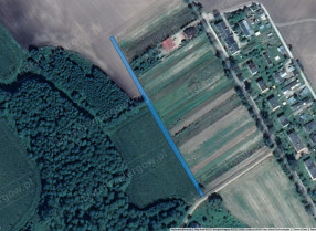 Image category