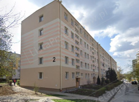 Image category