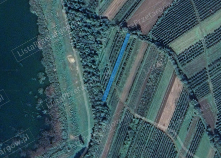 Nieruchomość