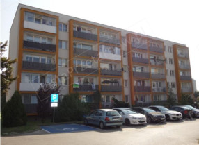 Image category