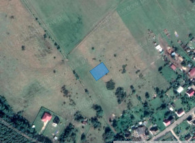 Image category