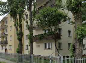 Image category