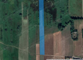 Image category
