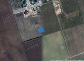 Image category