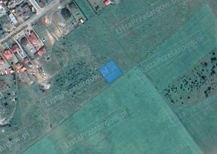 Image category