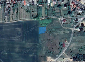 Image category