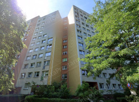 Image category
