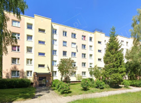 Image category