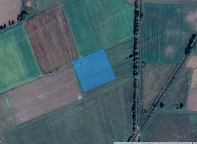 Image category