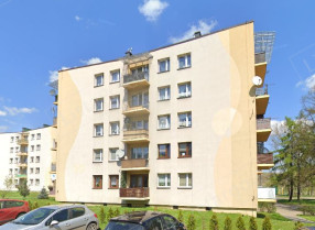 Image category