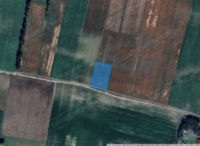 Image category