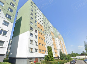 Image category