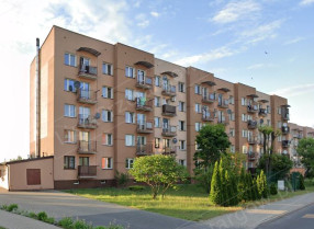 Image category