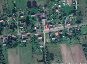 Image category