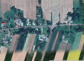 Image category