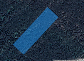 Image category