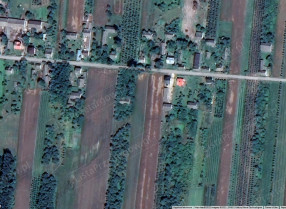 Image category