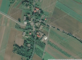 Image category