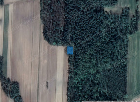 Image category