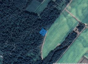 Image category