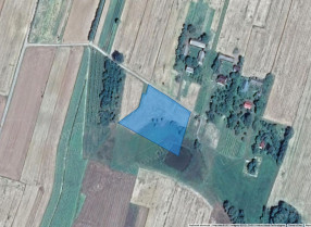 Nieruchomość