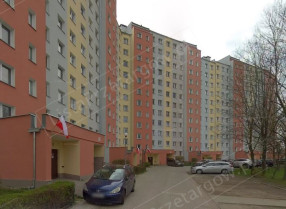 Image category