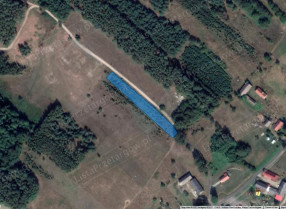 Nieruchomość