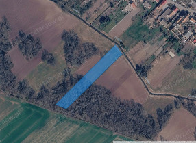 Nieruchomość