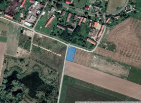 Image category