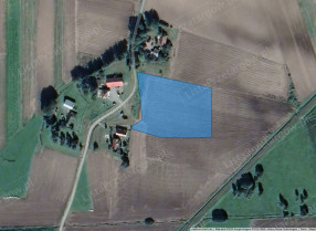 Image category