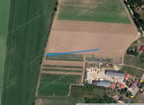 Image category