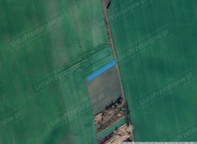 Image category