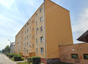 Image category