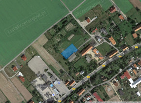 Image category
