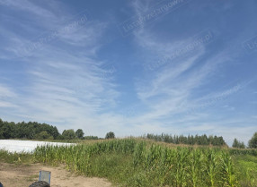 Nieruchomość