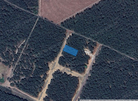Image category