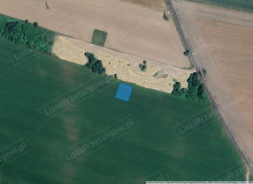 Image category