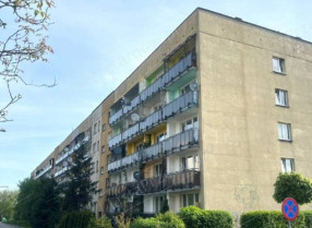 Image category