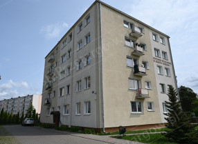 Image category