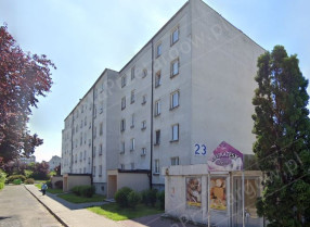Image category