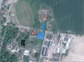 Image category