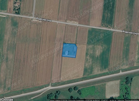 Nieruchomość