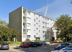 Image category