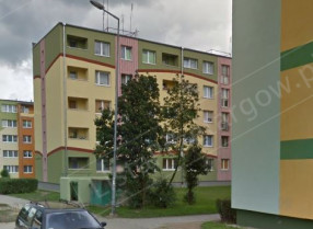 Image category