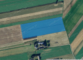 Image category