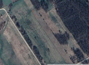 Image category