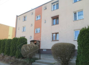 Image category